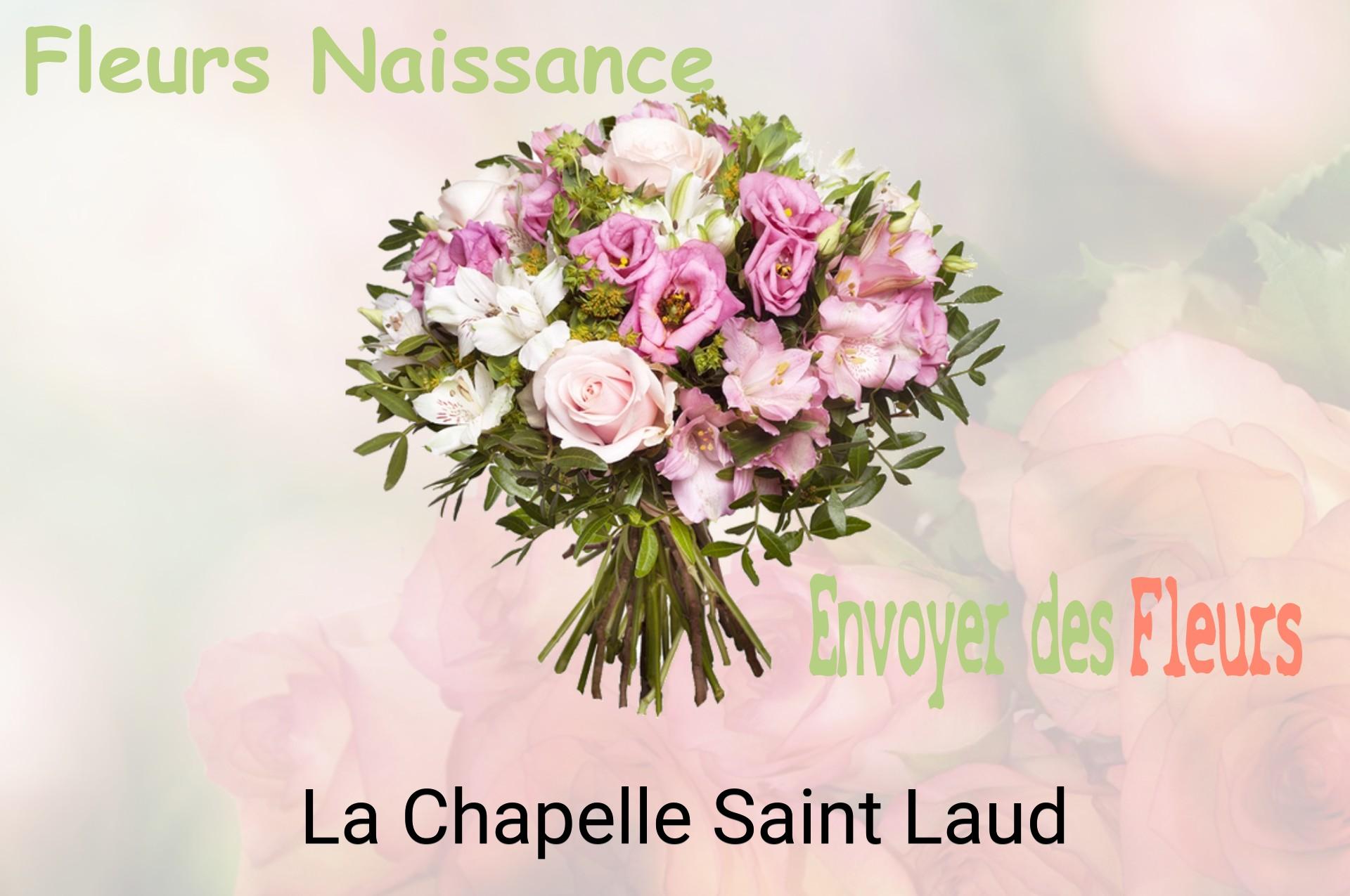 Bouquet de fleurs de naissance livré à La Chapelle-Saint-Laud